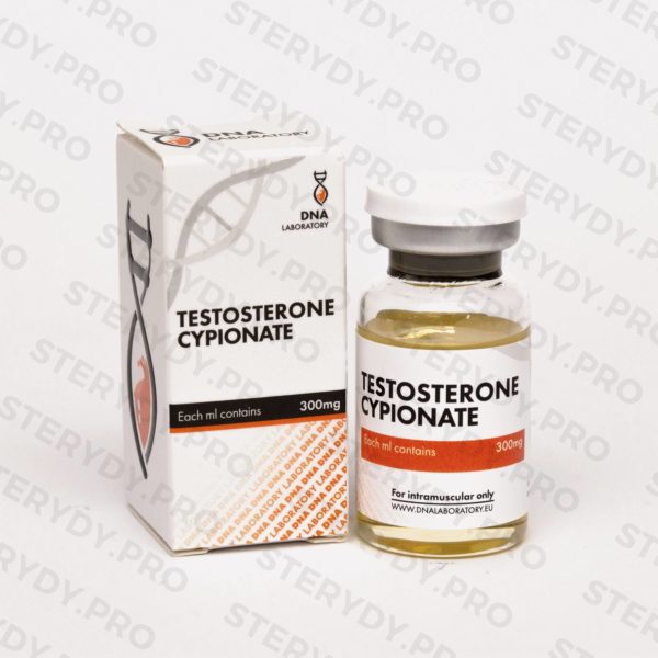 testosterone koks sterydy